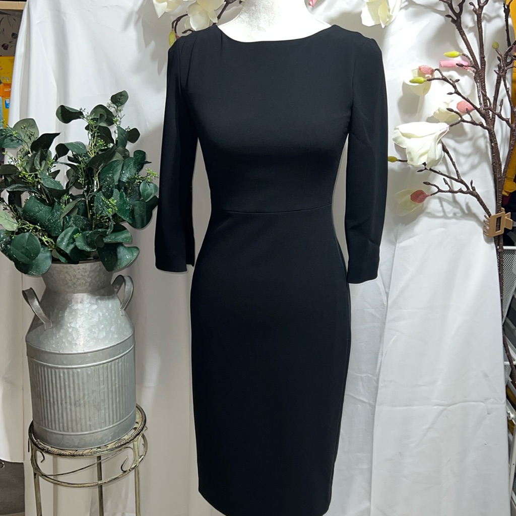 Theory Drees